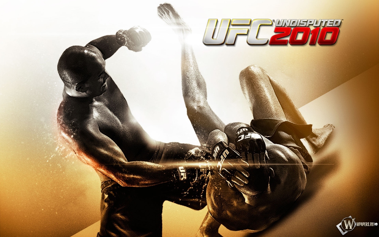 UFC 2010 бои без правил 1280x800