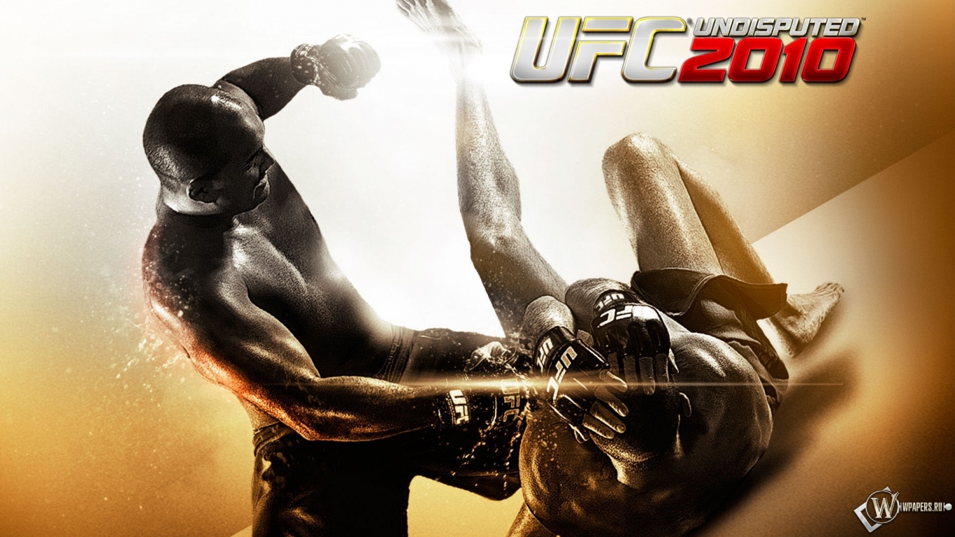 UFC 2010 бои без правил 1366x768