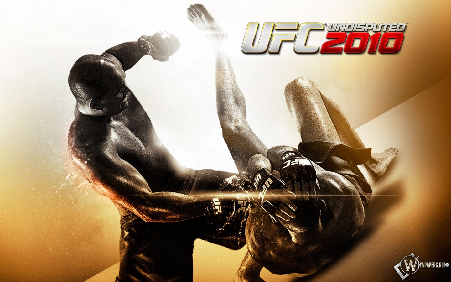 UFC 2010 бои без правил 1440x900