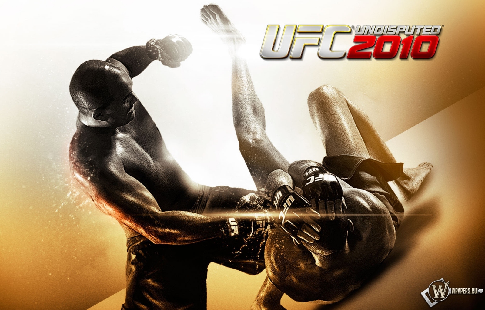 UFC 2010 бои без правил 1600x1024