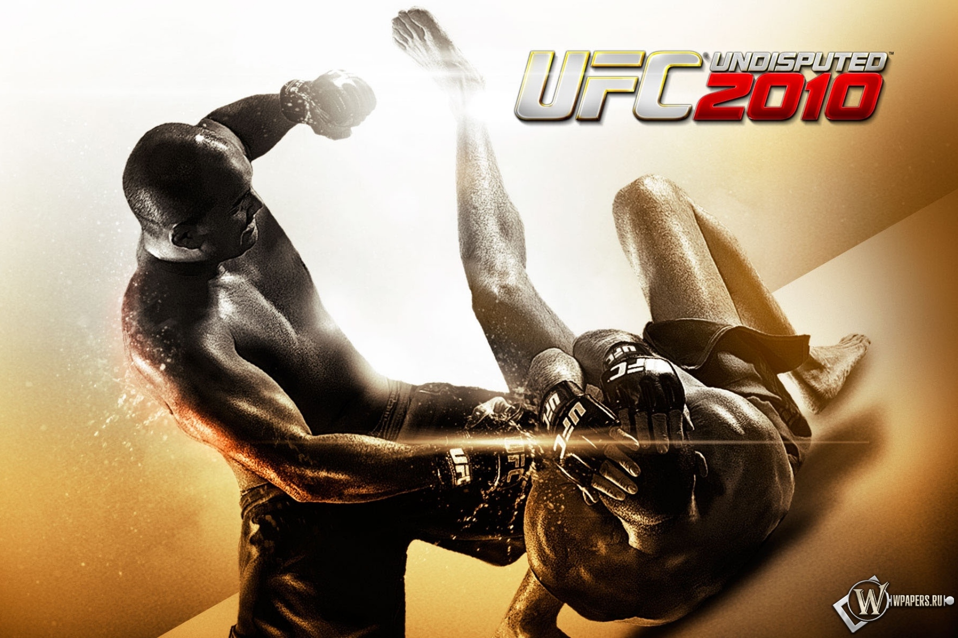 UFC 2010 бои без правил 1920x1280
