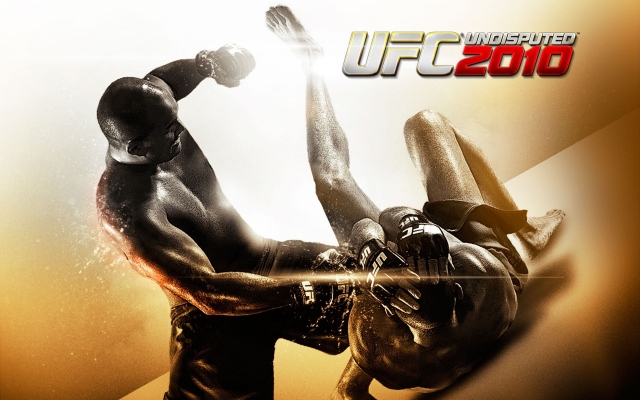 UFC 2010 бои без правил