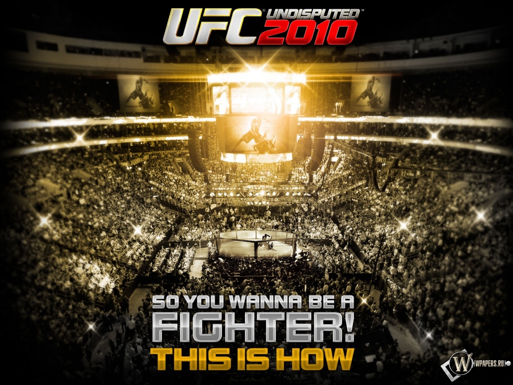 UFC 2010 1024x768