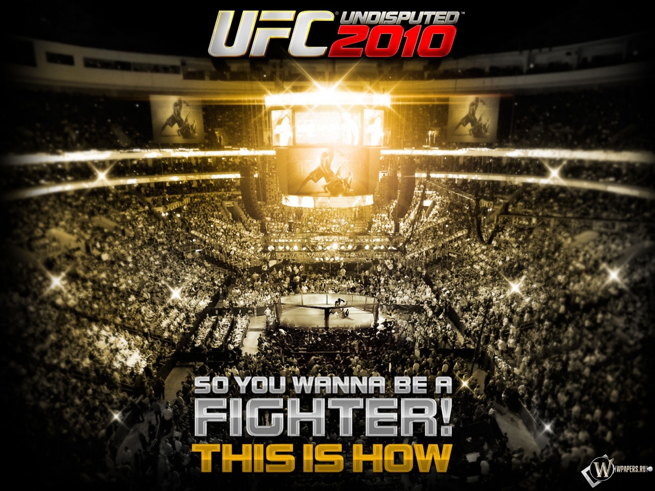 UFC 2010 1280x960