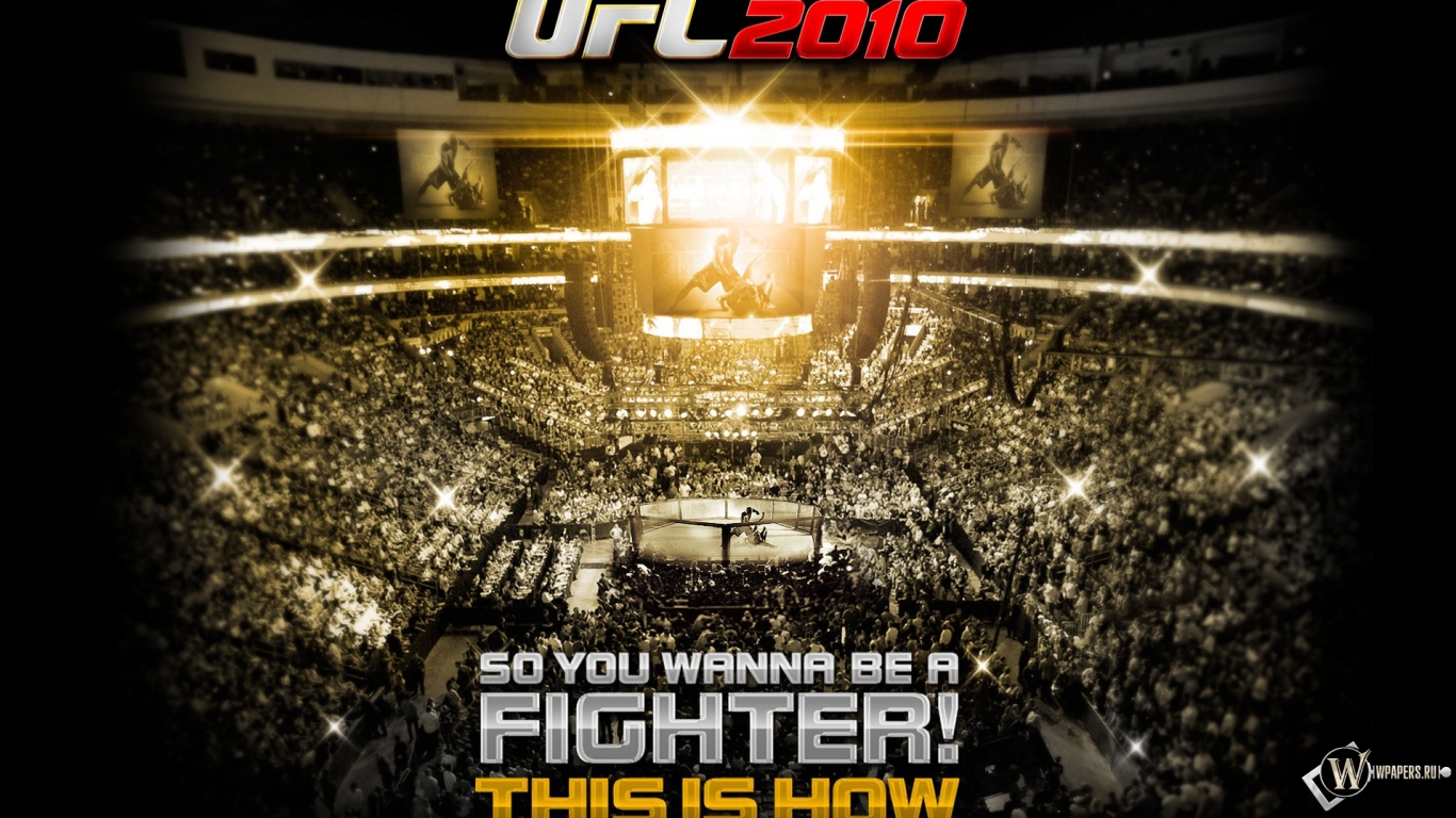 UFC 2010 1366x768