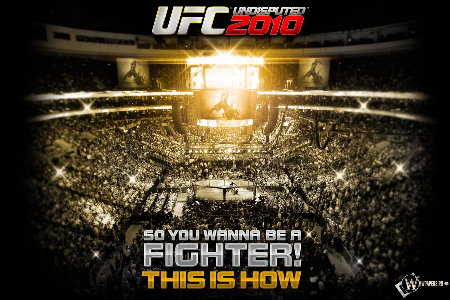 UFC 2010 1500x1000