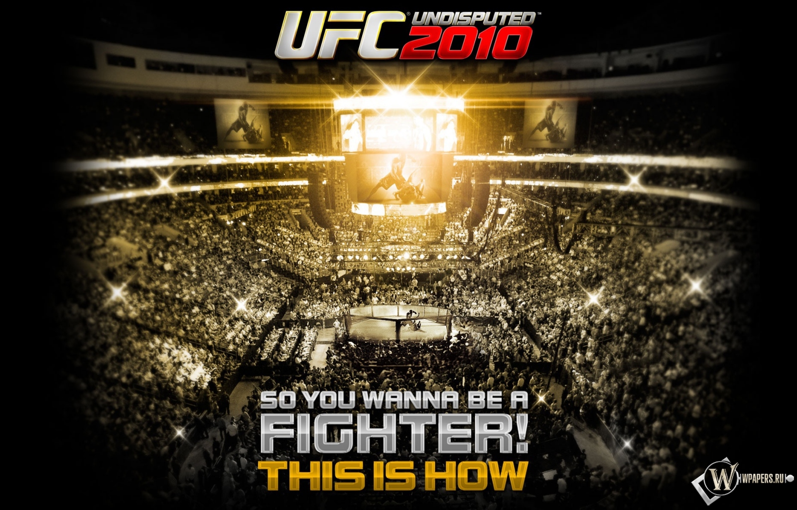 UFC 2010 1600x1024