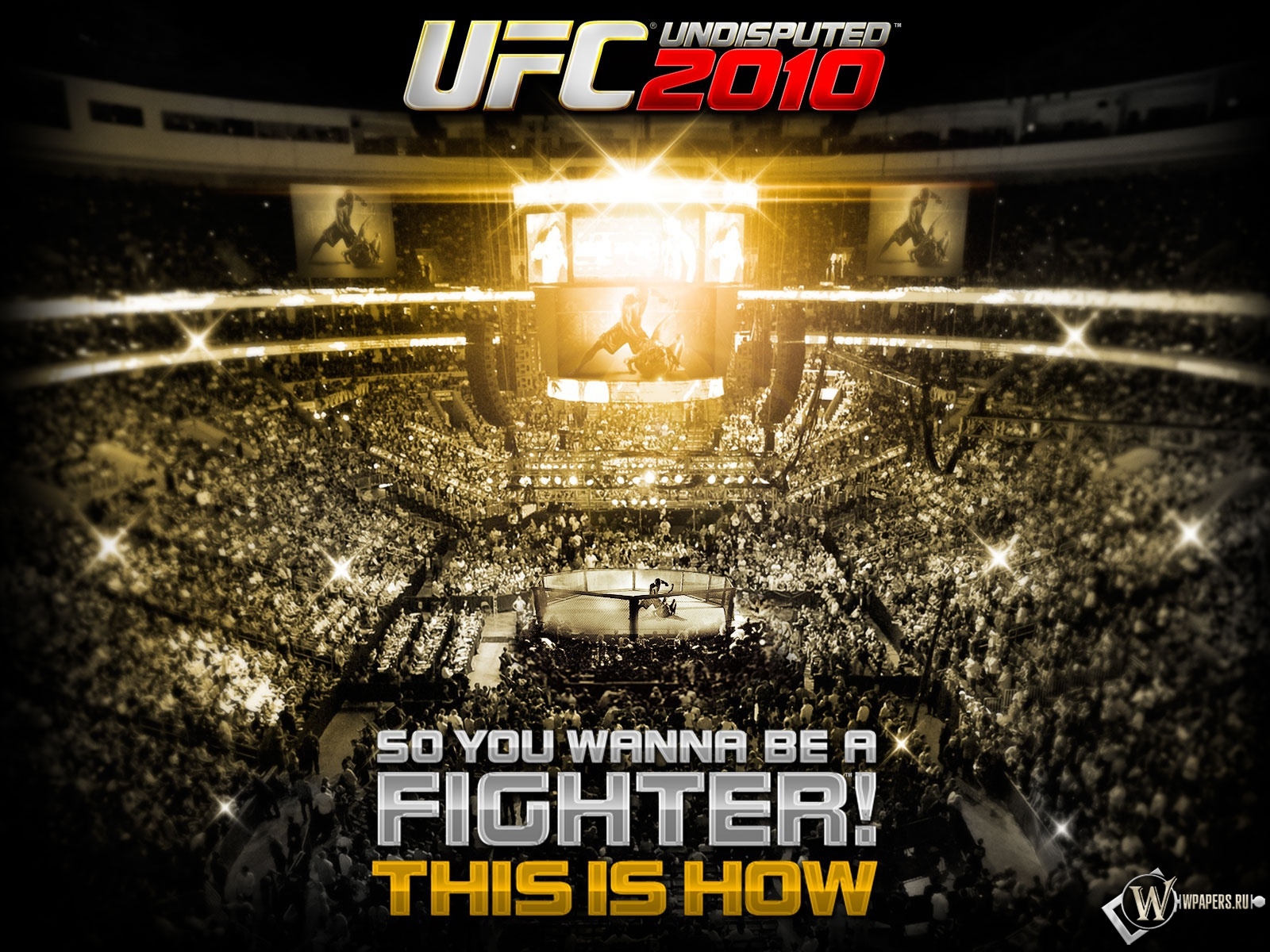 UFC 2010 1600x1200