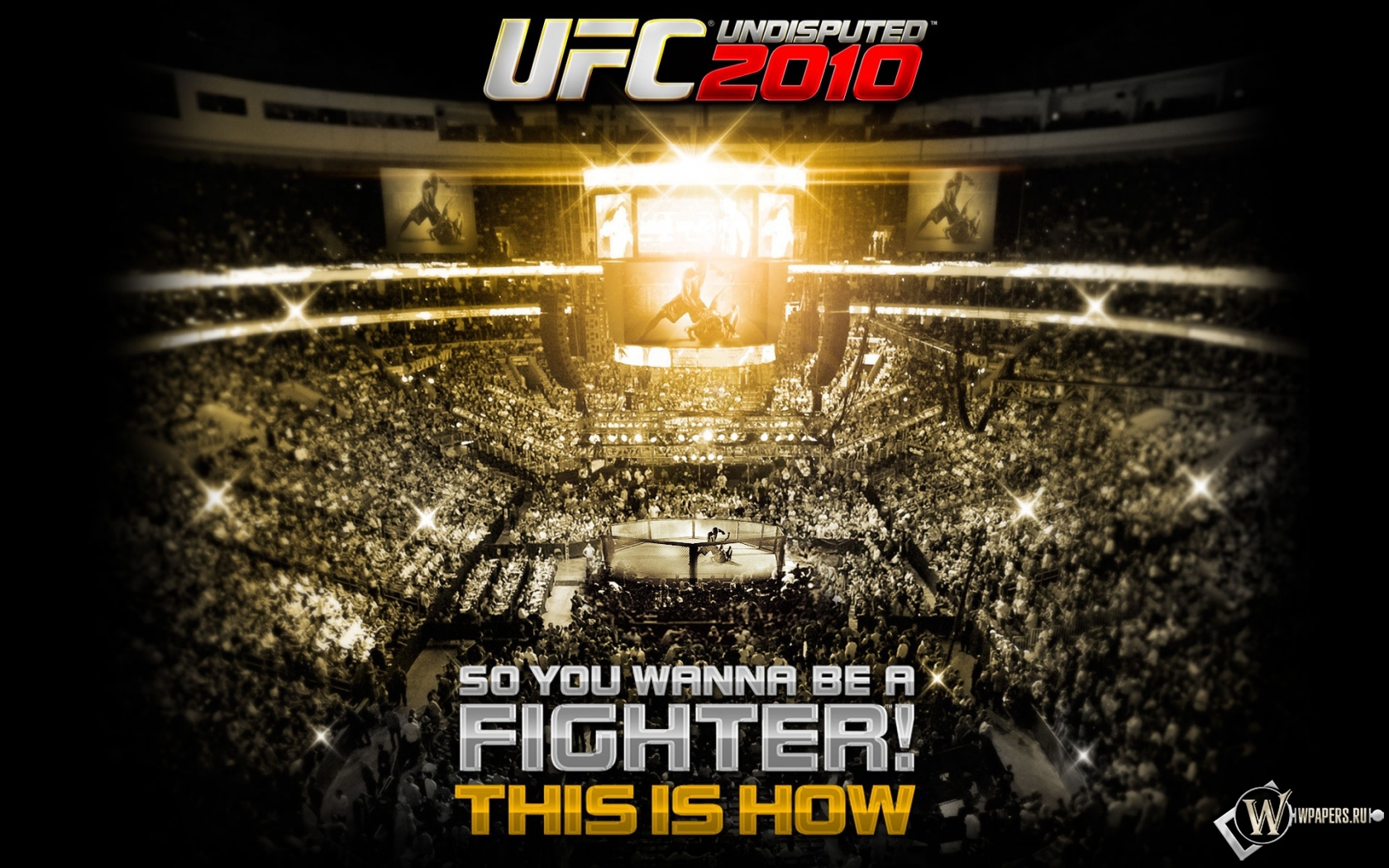 UFC 2010 1680x1050