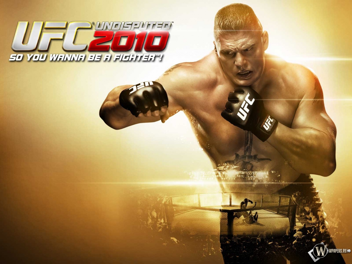 UFC 2010 1152x864