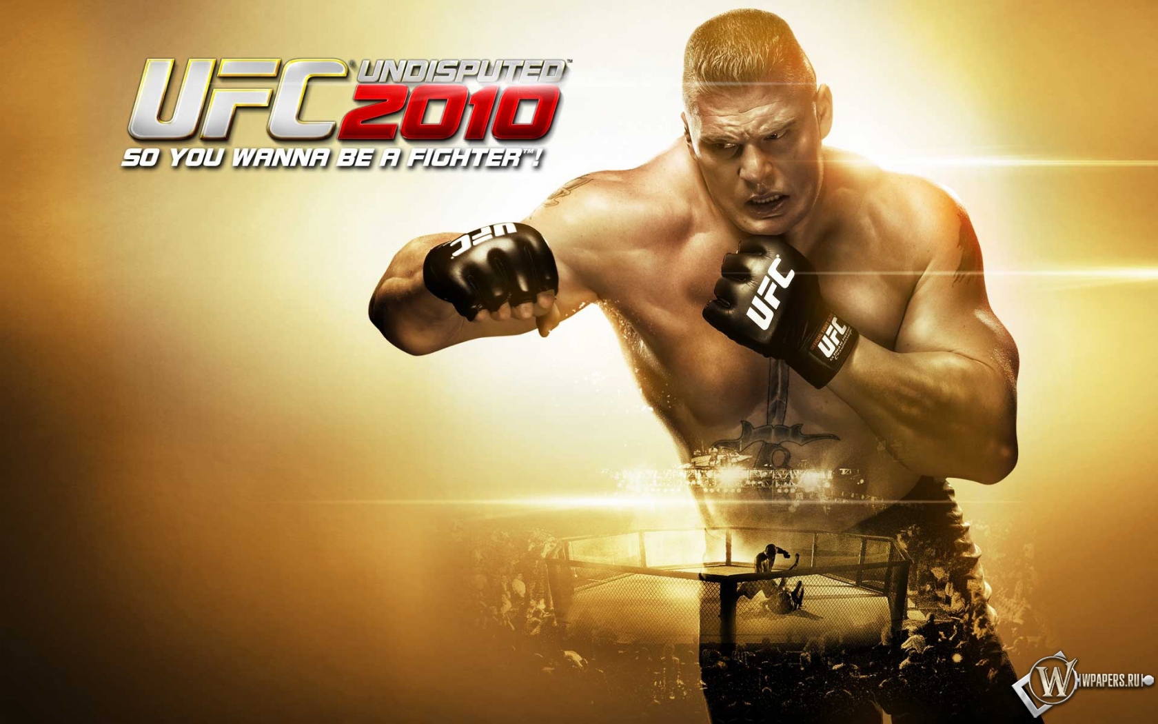 UFC 2010 1680x1050