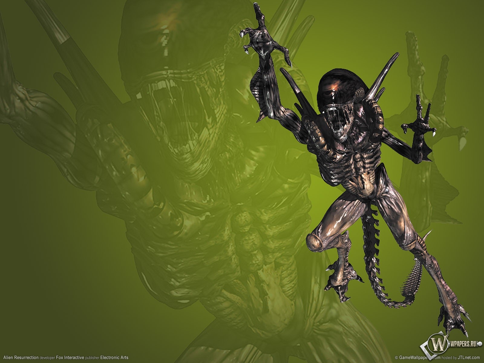 Alien Resurrection 1600x1200