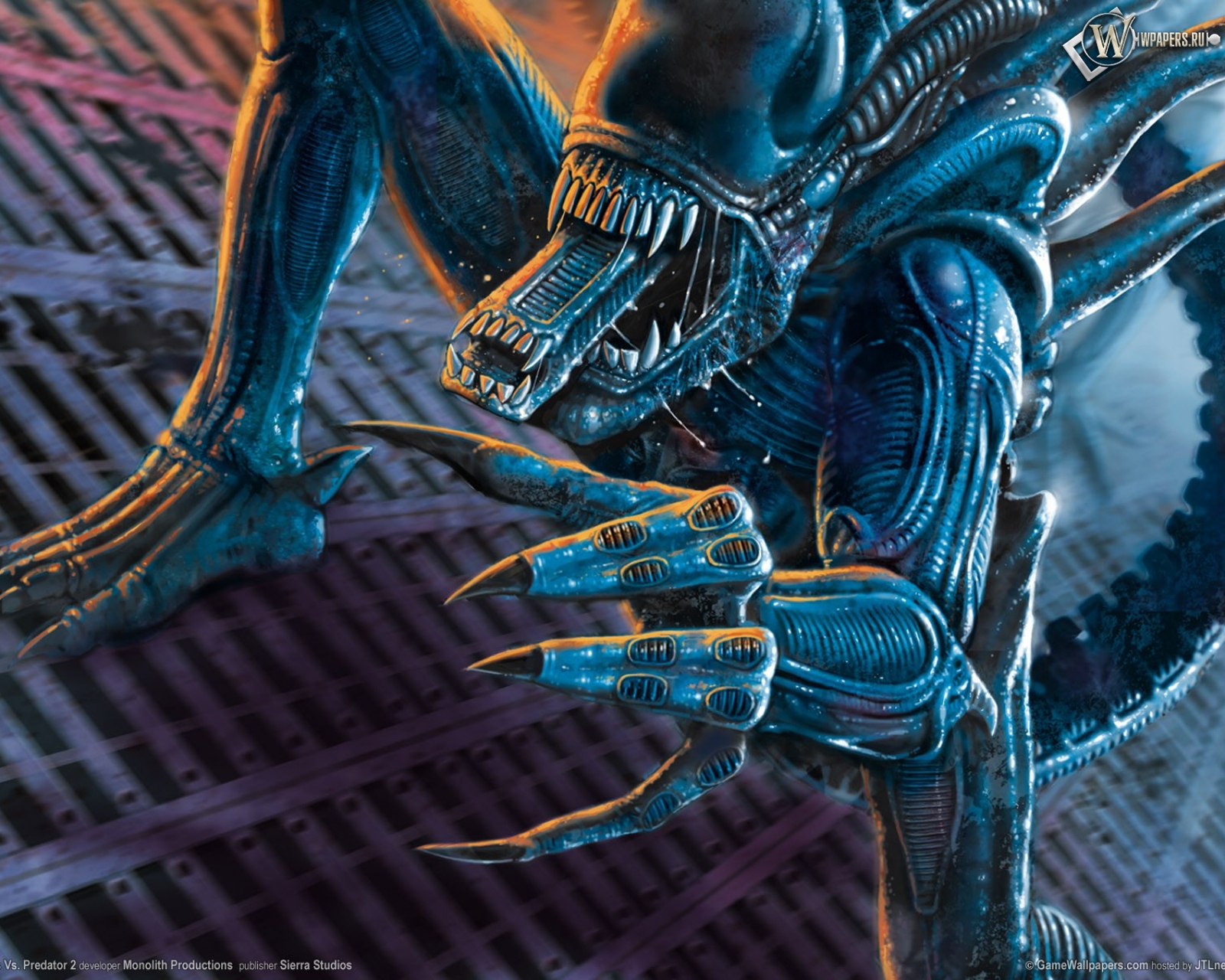 Aliens vs Predator 1600x1280