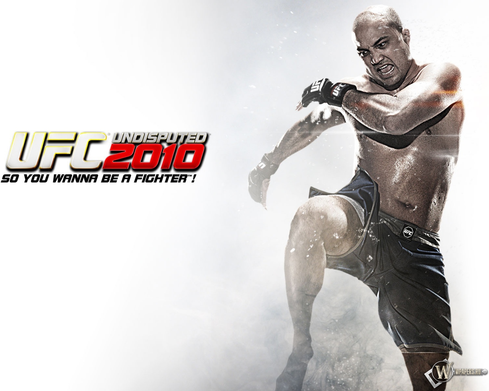 UFC 2010 1600x1280