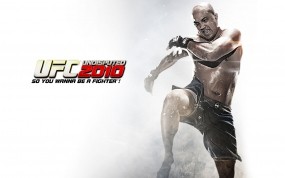 UFC 2010