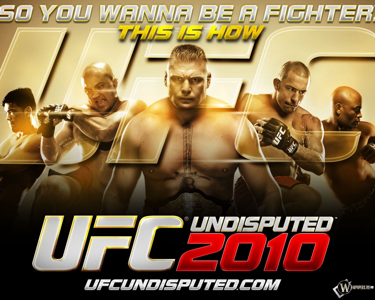 UFC 2010 1280x1024