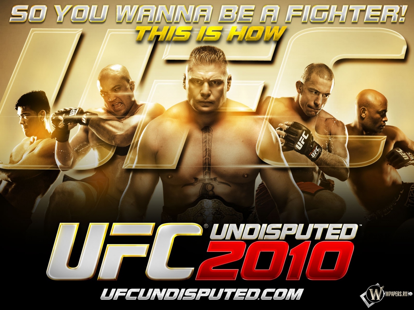 UFC 2010 1400x1050