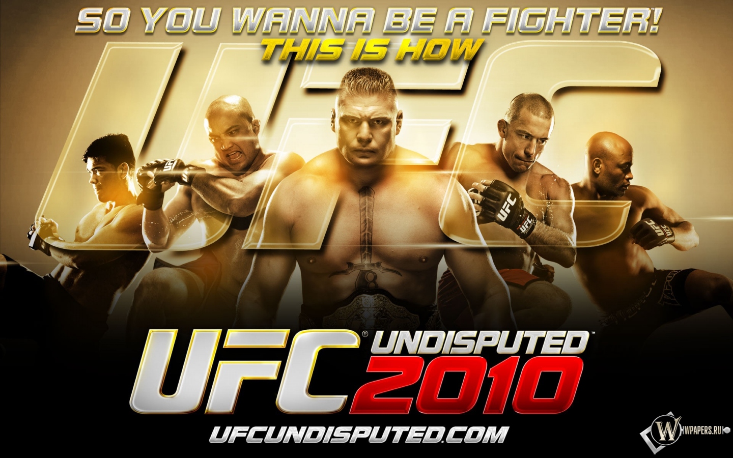 UFC 2010 1440x900