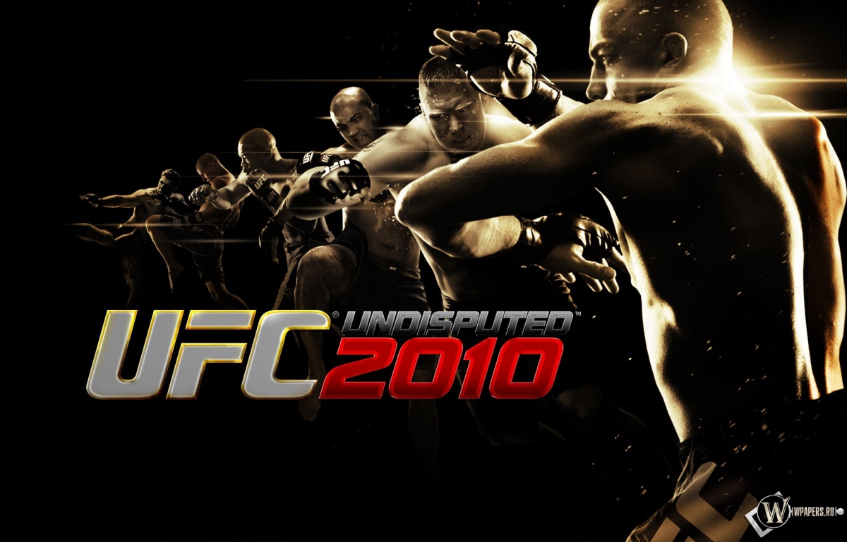 UFC 2010 1200x768