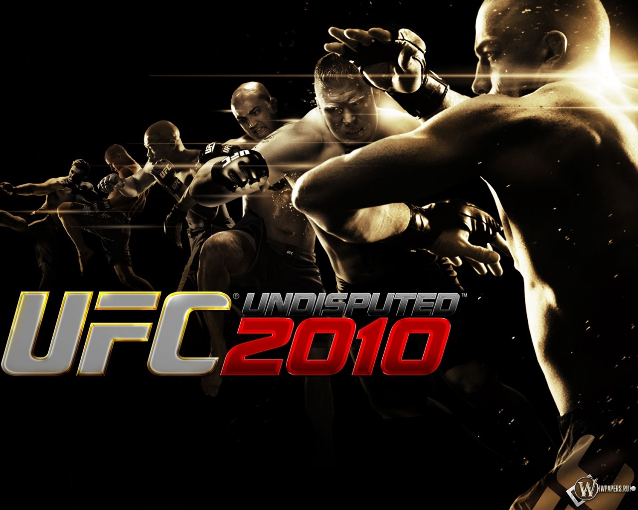 UFC 2010 1280x1024