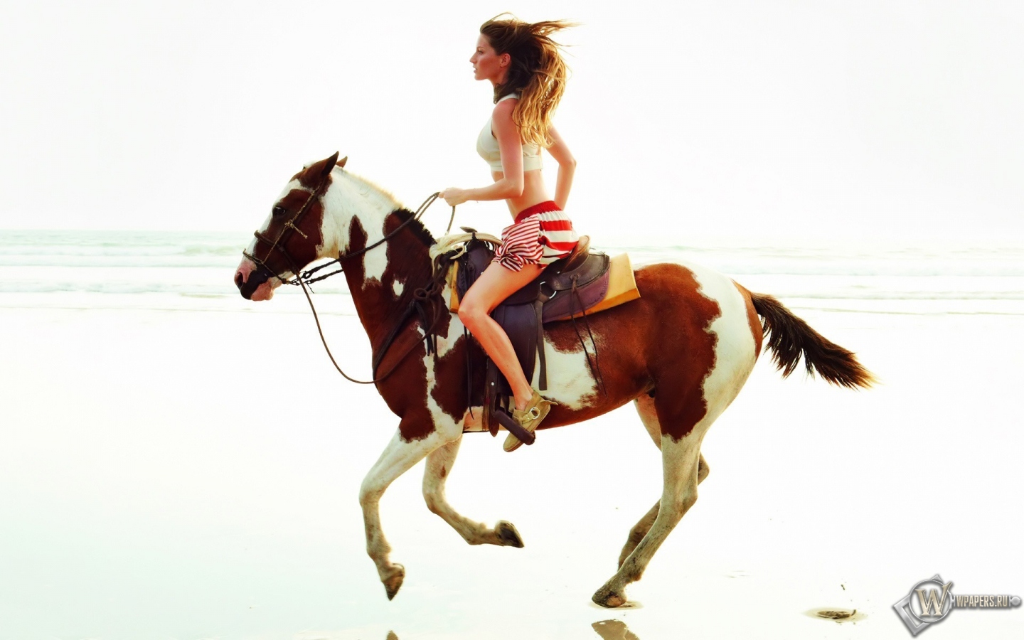 Девушка на лошади 1440x900
