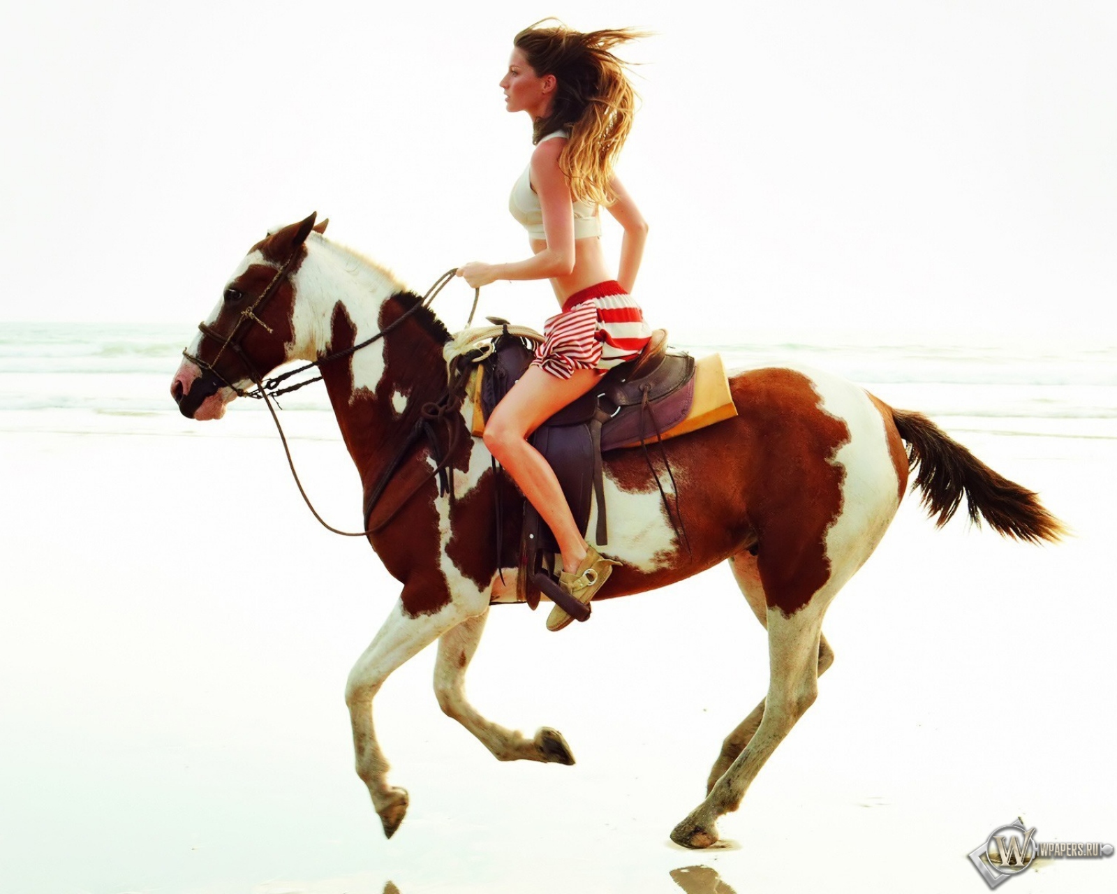 Девушка на лошади 1600x1280