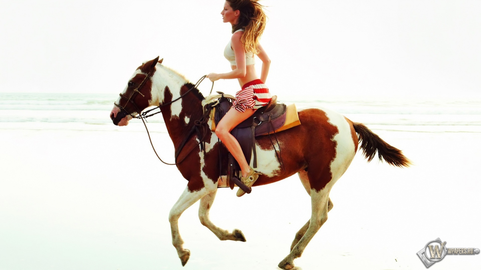 Девушка на лошади 1600x900