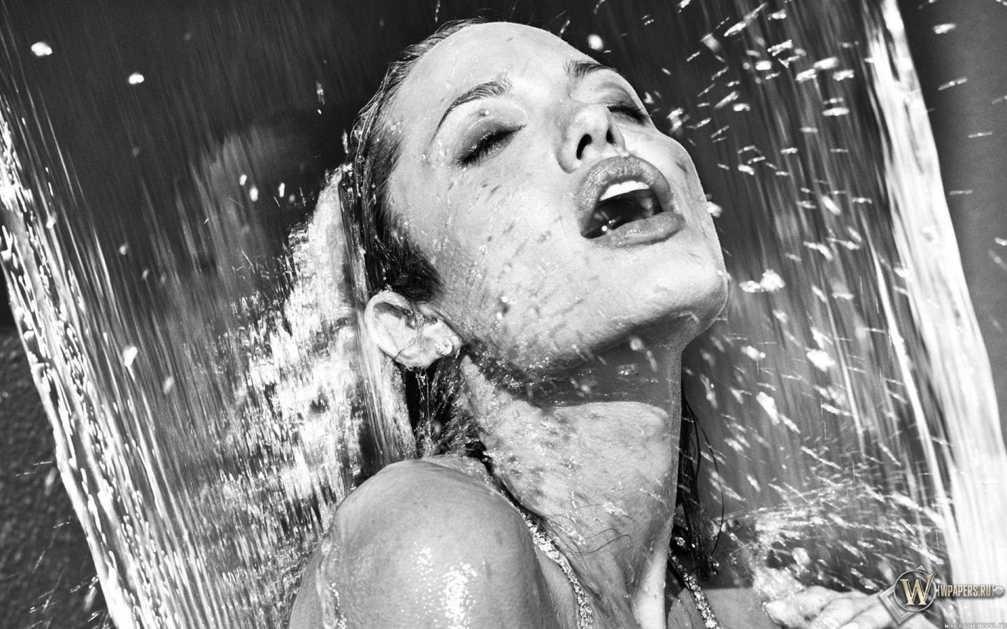 Анджелина Джоли в душе 1440x900