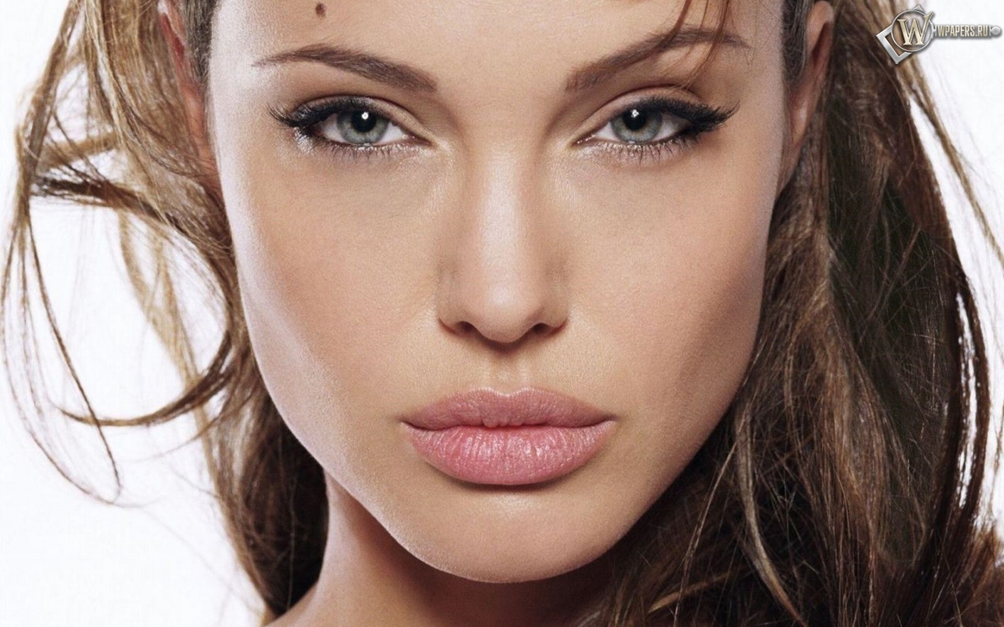 Взгляд Анжелины Джоли 1440x900
