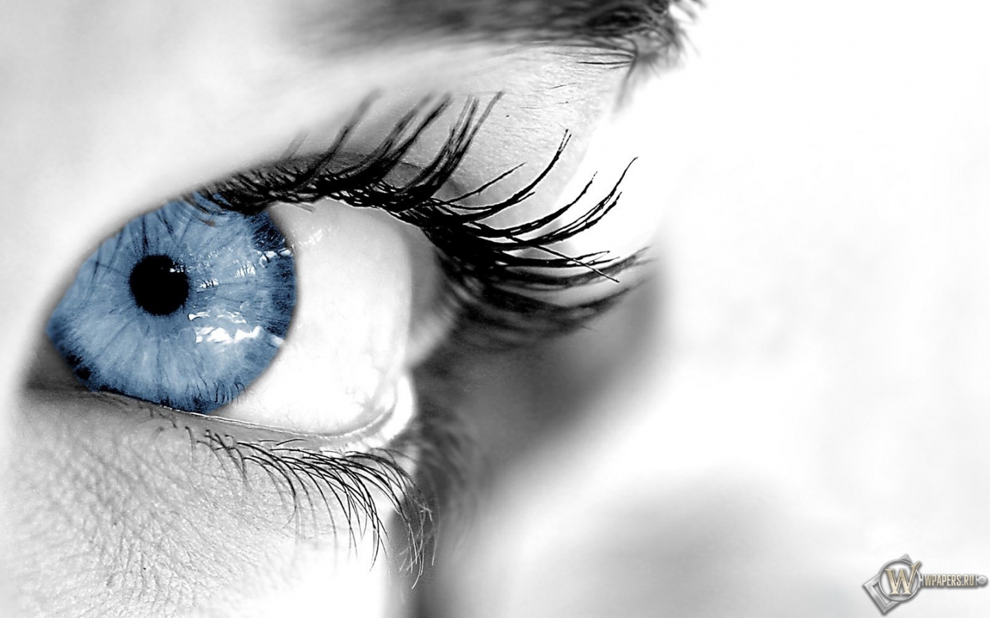Голуббой глаз 1440x900