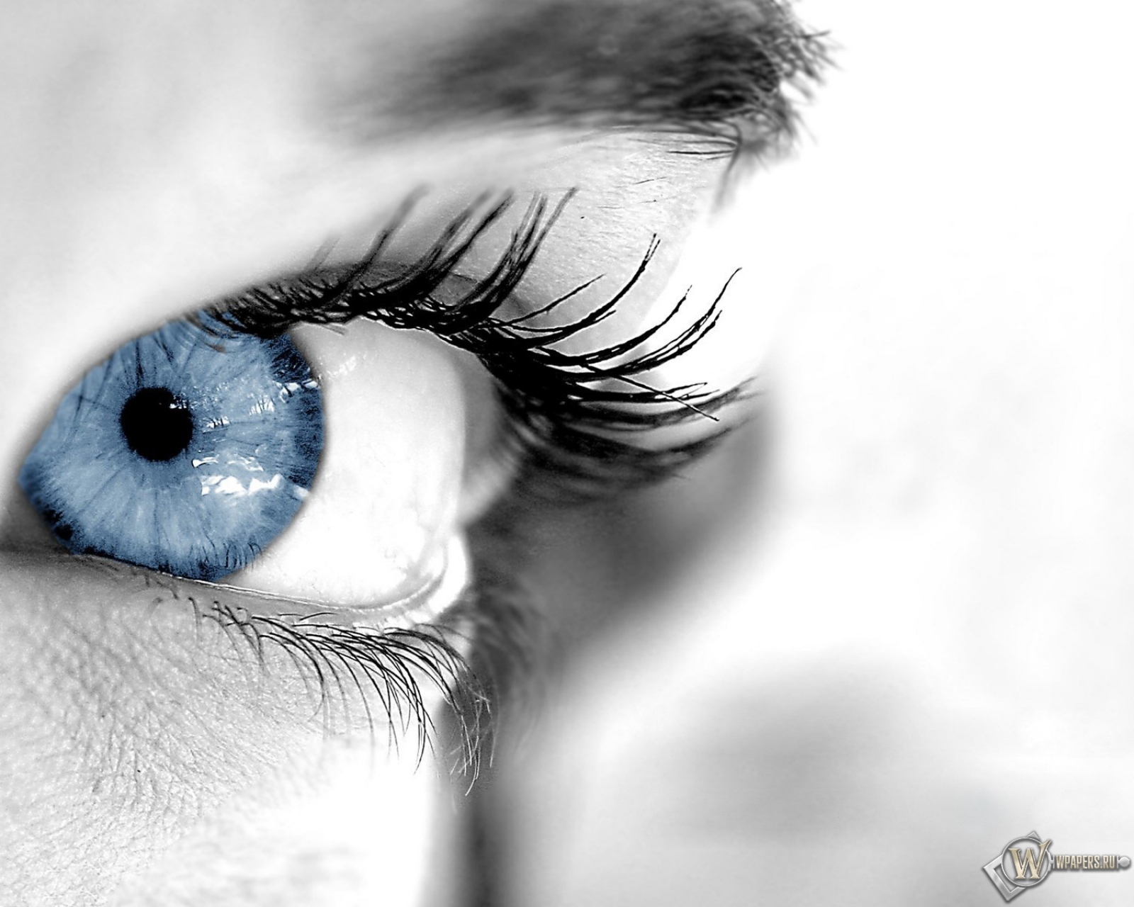 Голуббой глаз 1600x1280