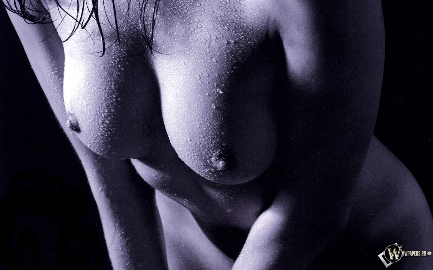 Мокрая женская грудь 1440x900