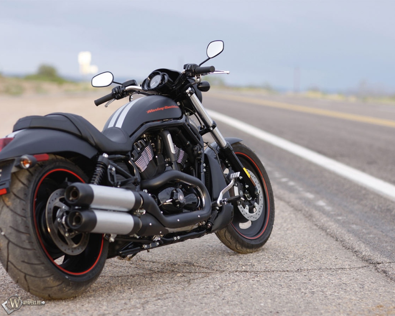 Harley-Davidson Night-Rod Special 1280x1024