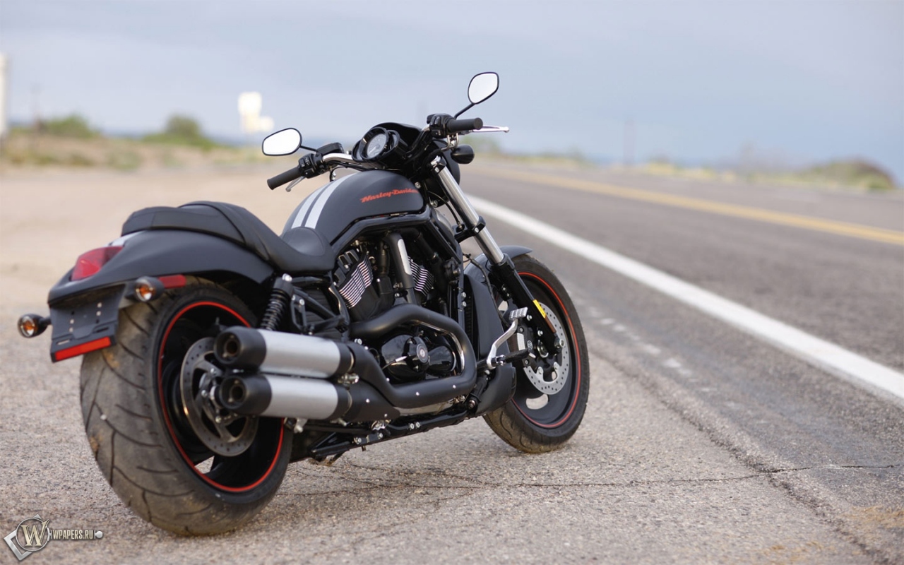 Harley-Davidson Night-Rod Special 1280x800