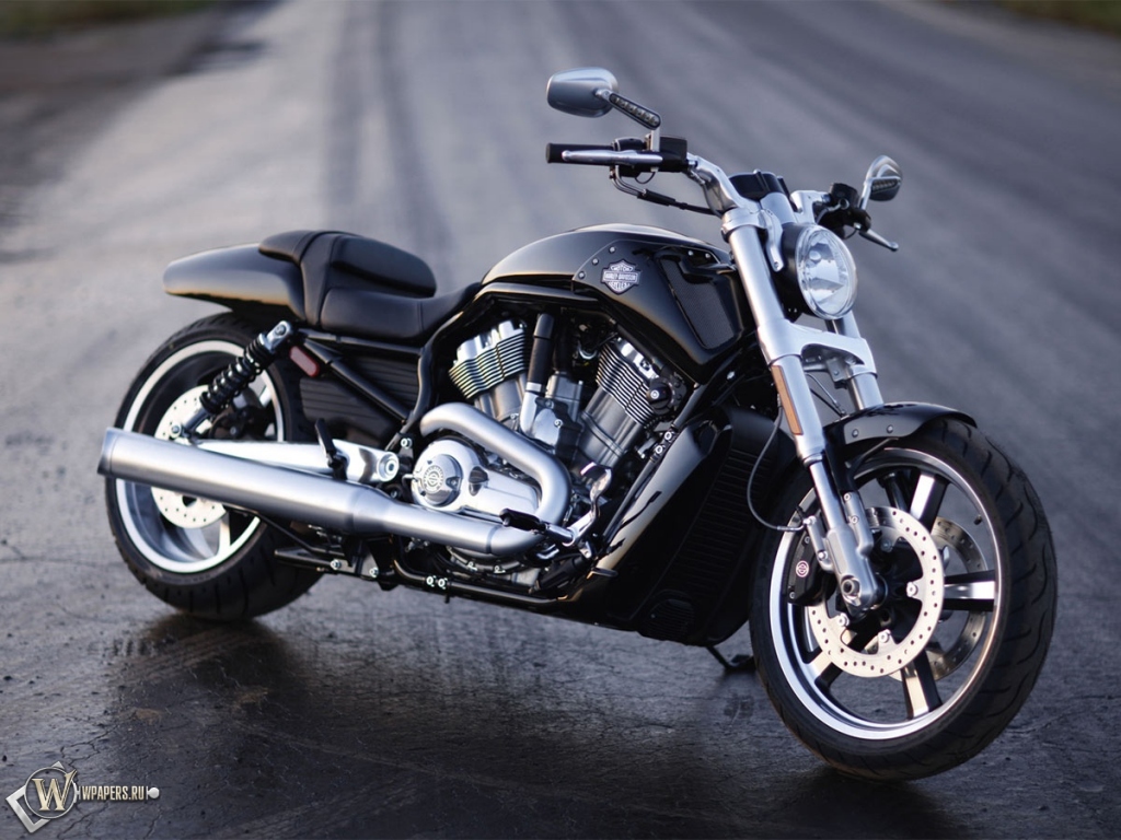 Harley-Davidson V-Rod Muscle 1024x768