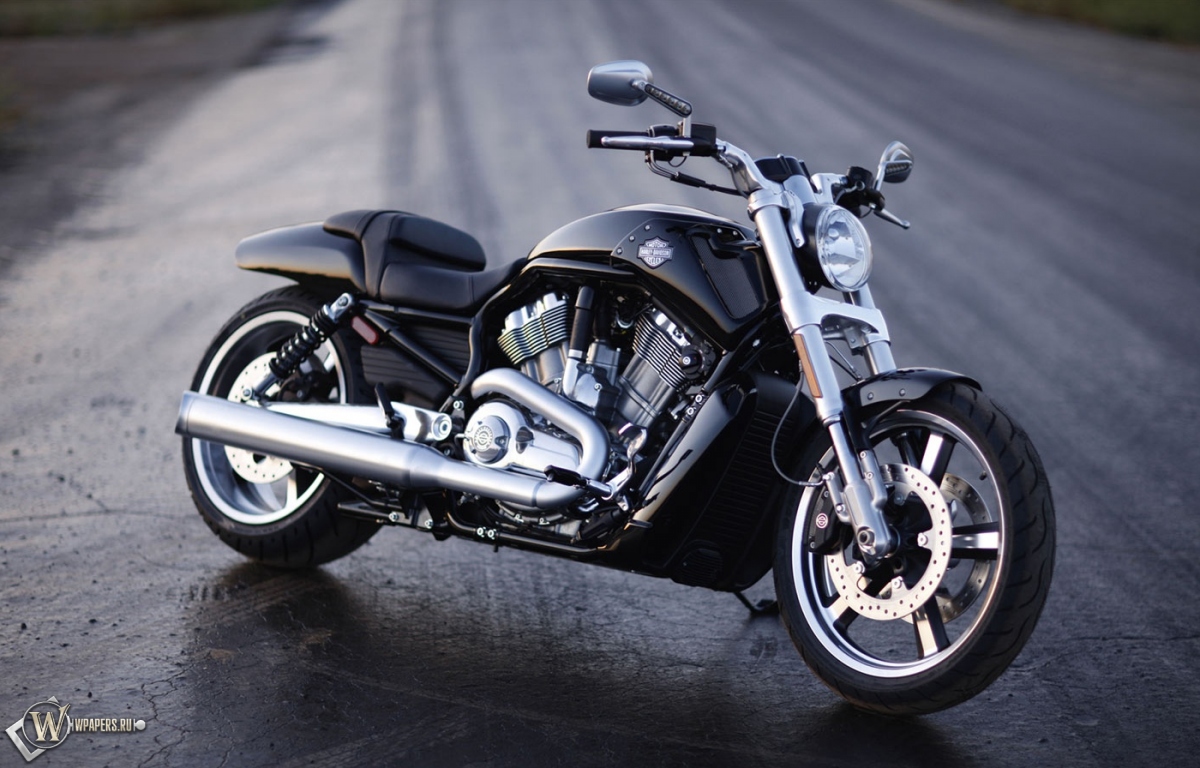 Harley-Davidson V-Rod Muscle 1200x768