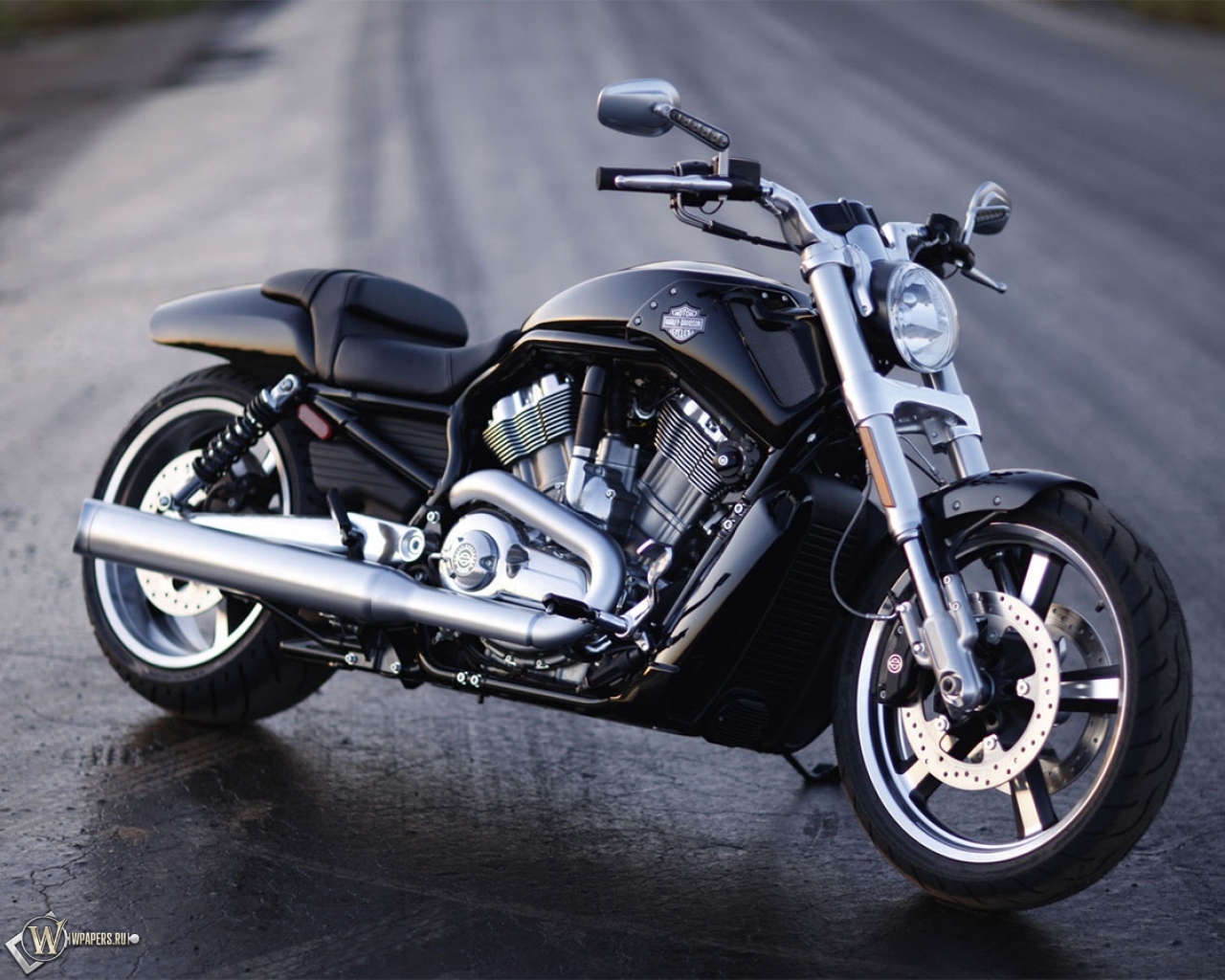 Harley-Davidson V-Rod Muscle 1280x1024