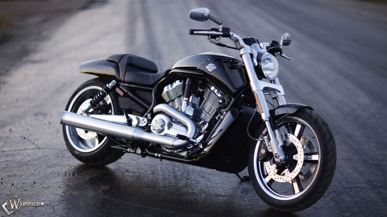 Harley-Davidson V-Rod Muscle 1280x720