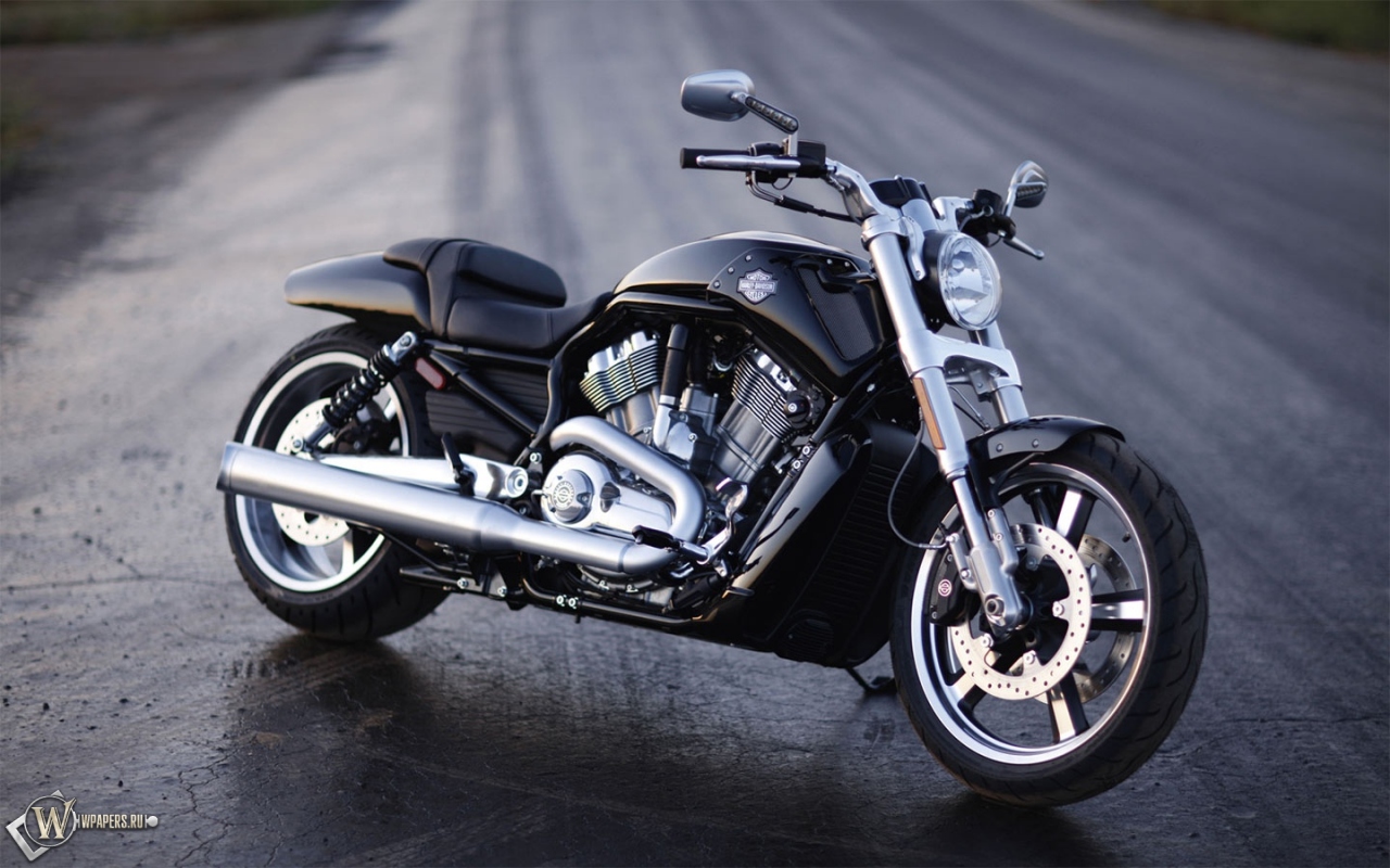 Harley-Davidson V-Rod Muscle 1280x800