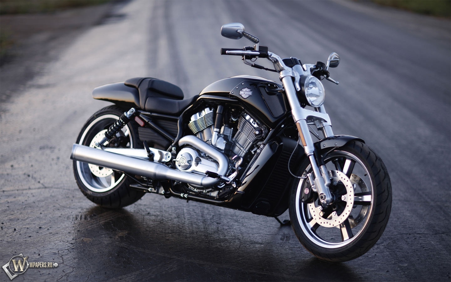Harley-Davidson V-Rod Muscle 1440x900