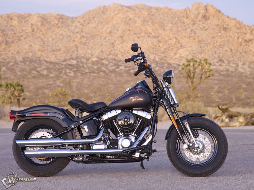 Harley-Davidson Cross-Bones 1024x768