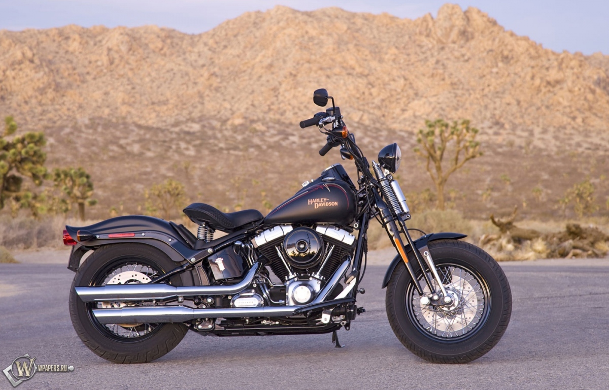 Harley-Davidson Cross-Bones 1200x768