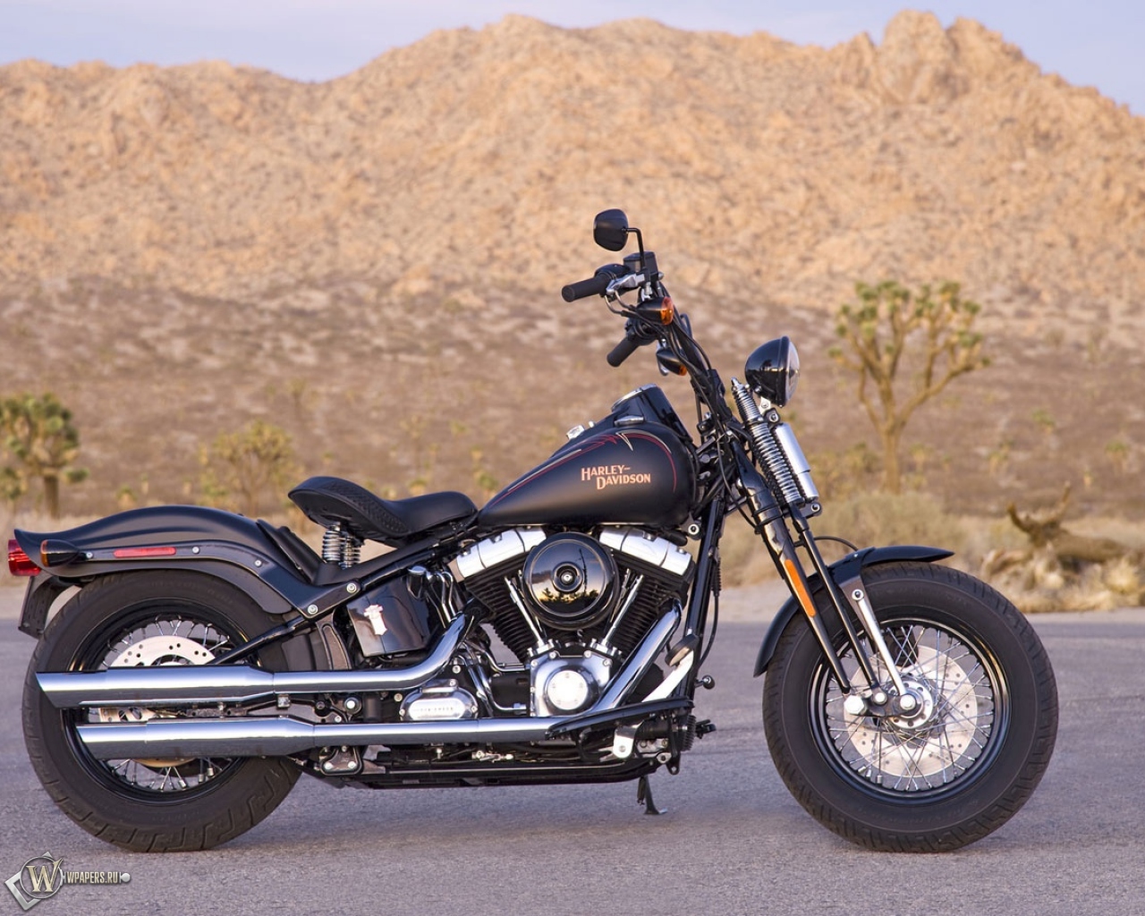 Harley-Davidson Cross-Bones 1280x1024