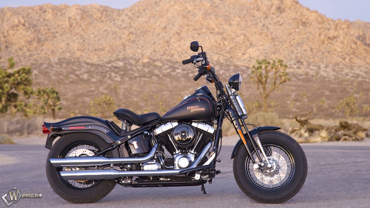 Harley-Davidson Cross-Bones 1280x720