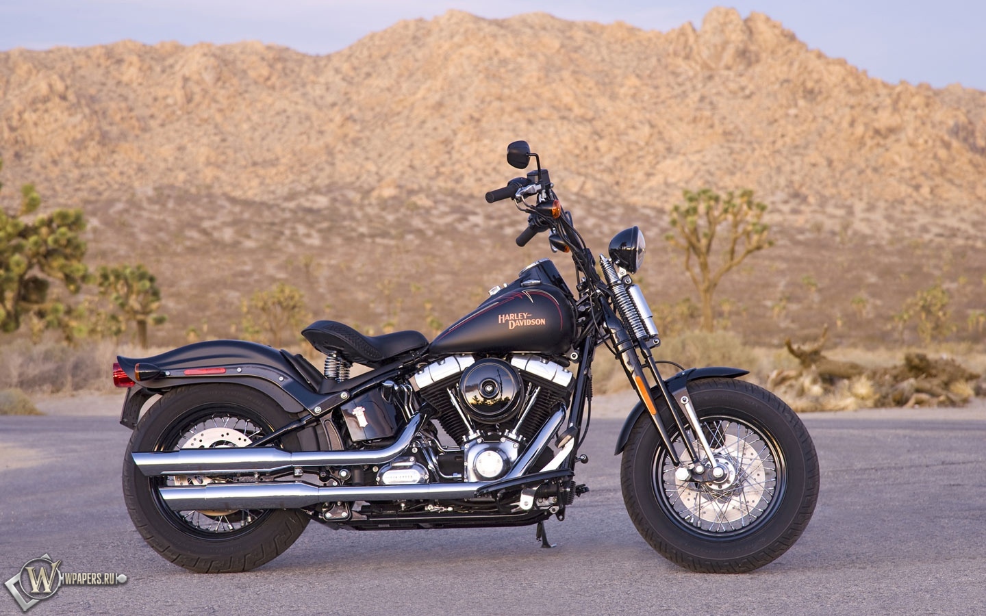 Harley-Davidson Cross-Bones 1440x900