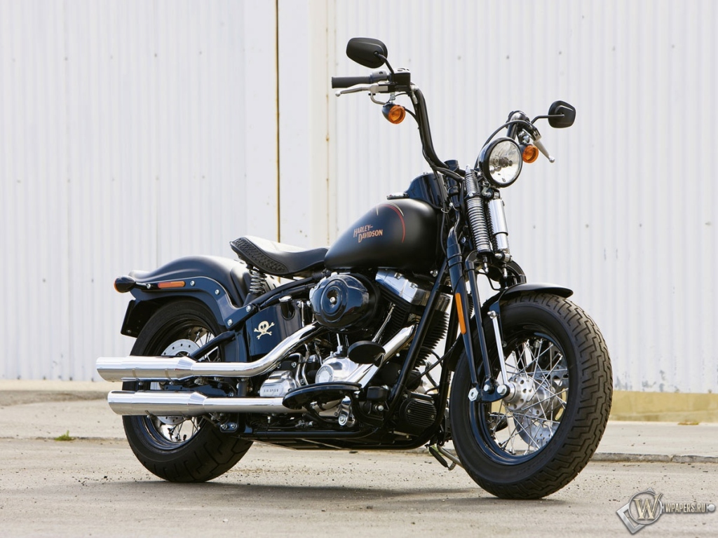 Чёрный Harley-Davidson Cross-Bones 1024x768