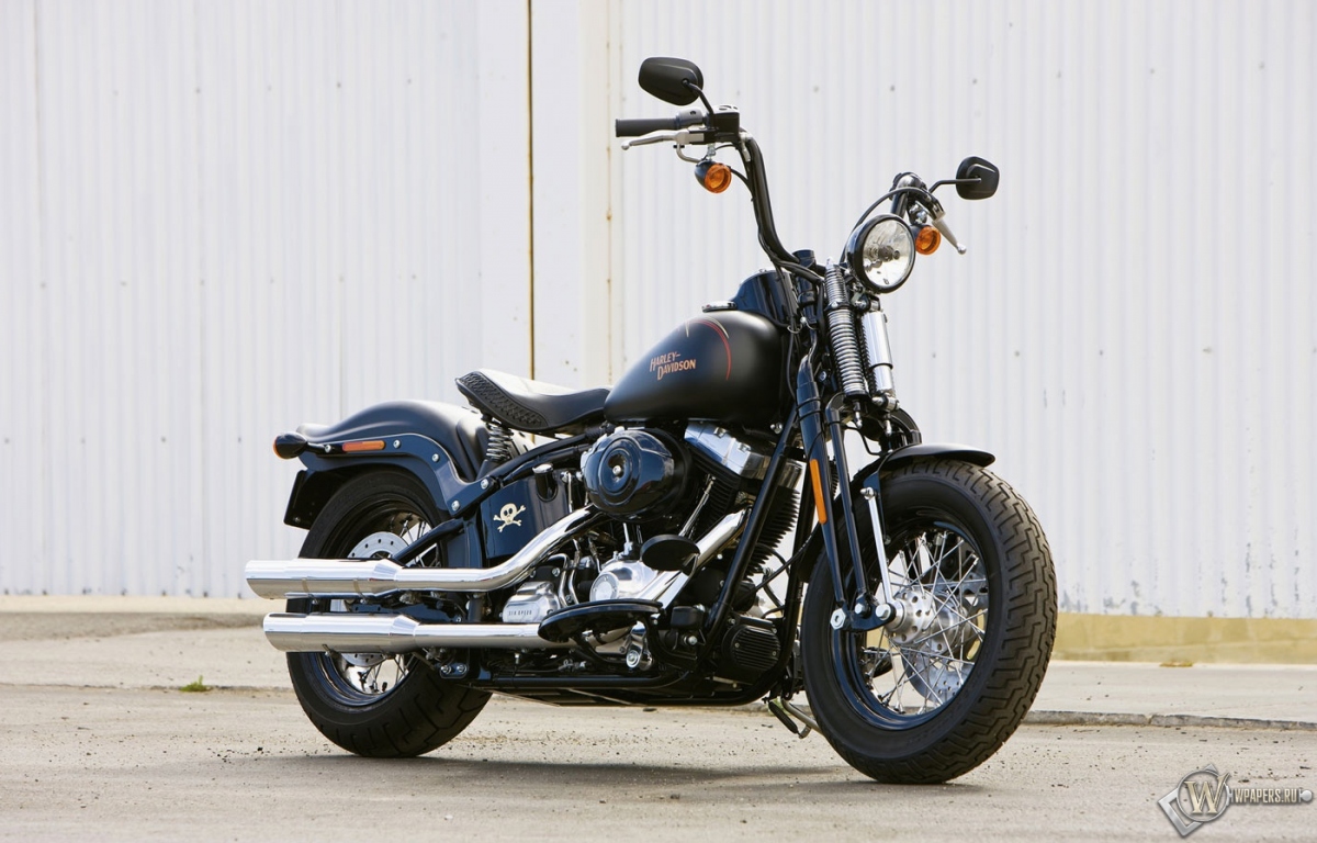 Чёрный Harley-Davidson Cross-Bones 1200x768