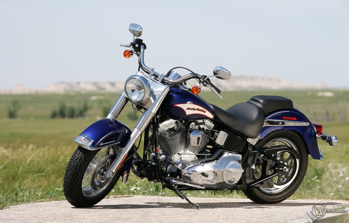 Тёмно-синий Harley-Davidson 1200x768