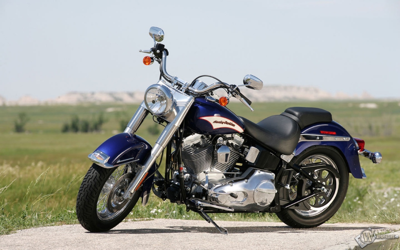 Тёмно-синий Harley-Davidson 1280x800