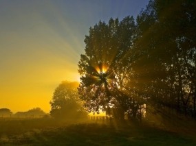 Обои Последний день лета: Солнце, Ночь, Восход, Дерево, Природа